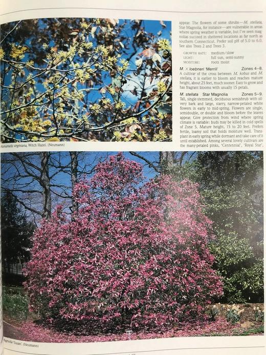 国家植物园精品园林植物名录 数百幅彩色插图 精装16开 商品图10