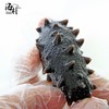 海朴 臻鸾干海参50克 大连底播海参干货礼盒 商品缩略图2