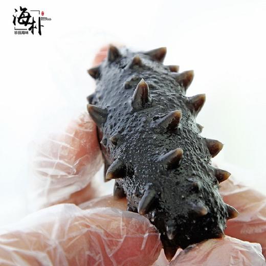 海朴 臻鸾干海参50克 大连底播海参干货礼盒 商品图2