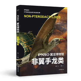 PNSO翼龙博物馆.非翼手龙类