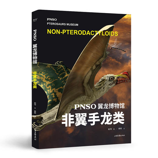 PNSO翼龙博物馆.非翼手龙类 商品图0