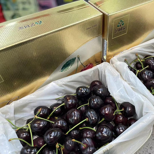 【艺树家】艺树家，俄8黑珍珠樱桃，国内最佳樱桃品种，口感甜浓不单调有回味，有幸福感！ 商品图5