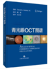 青光眼OCT图谱 戴毅主译 商品缩略图1