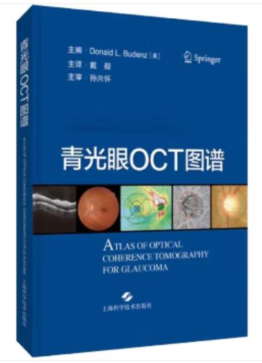 青光眼OCT图谱 戴毅主译 商品图1