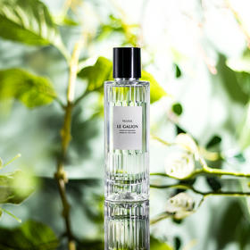 乐加利恩 椴树盈株 Le Galion Tilleul 分装