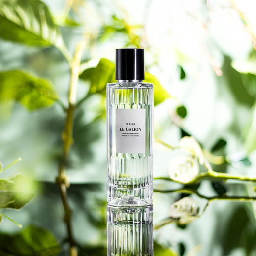 乐加利恩 椴树盈株 Le Galion Tilleul 分装 商品图0