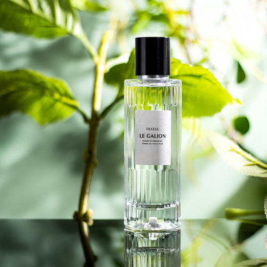 乐加利恩 椴树盈株 Le Galion Tilleul 分装 商品图3