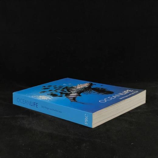 海洋生命图集 数百幅彩色插图 平装大16开 商品图1