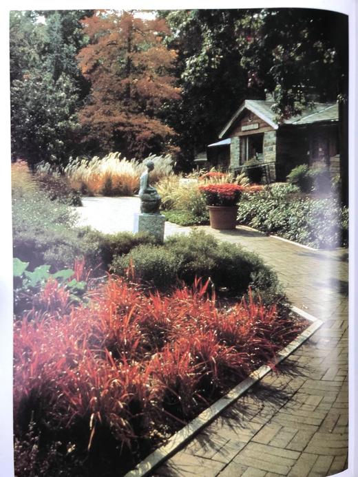 国家植物园精品园林植物名录 数百幅彩色插图 精装16开 商品图7