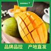 PAGODA百果园 云南大青芒8斤普通装（单果重≥500g） 商品缩略图1
