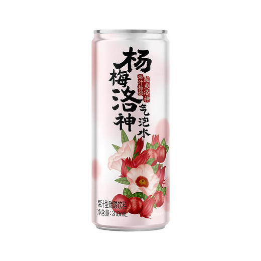 MM 山姆 DRINKSBA杨梅洛神气泡水 310ml*20 商品图6