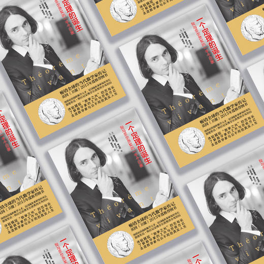 《一个定理的诞生：我与菲尔茨奖的一千个日夜》 商品图3