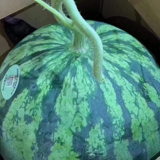 【南汇8424西瓜🍉】天气☁️越来‮热越‬了，又到了吃西‮消瓜‬暑的好时候！皮薄、肉脆、汁多、糖分高，是属于夏天‮味的‬道～ 商品图1