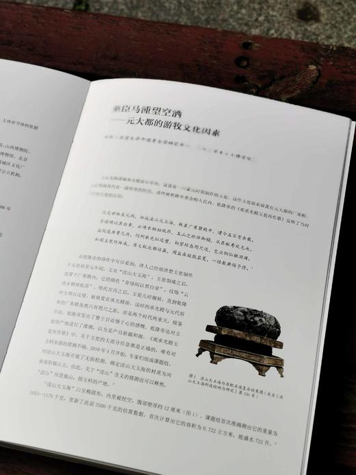 《大都：元代北京城》，平装，16开，铜版彩印，中国大运河博物馆编，上海雅昌精印，318页，江苏凤凰文艺出版社2023年5月一版一印，定价328，售价246元。 商品图5