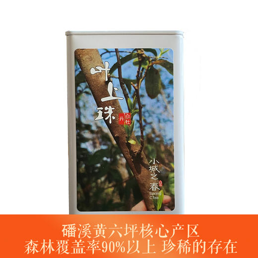 福鼎白茶 | 小城之春 磻溪黄六坪核心产区 一级白牡丹 叶上珠 50g 商品图0