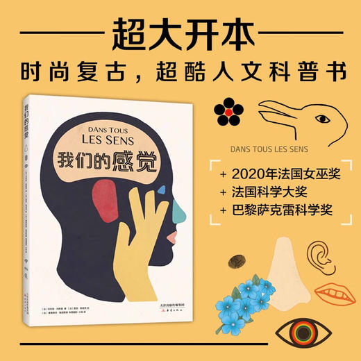 我们的感觉 商品图2