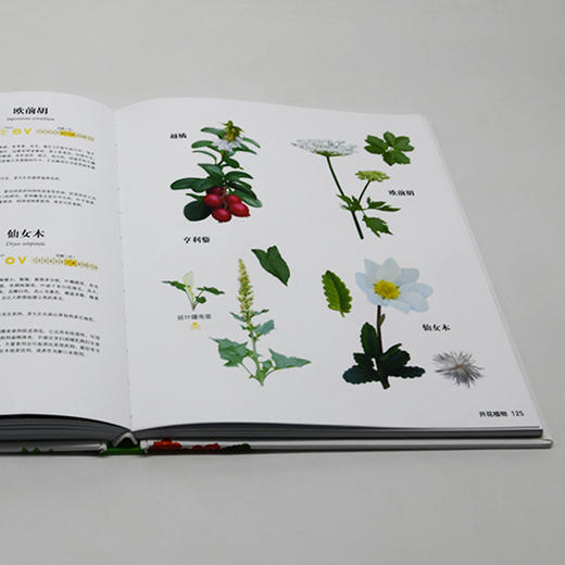 我的第一堂自然课：奇妙的探索之旅 商品图6