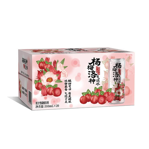 MM 山姆 DRINKSBA杨梅洛神气泡水 310ml*20 商品图5