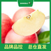 PAGODA百果园 东方红苹果9粒礼盒装（单果重约250g，净重4.5斤） 商品缩略图3
