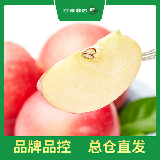PAGODA百果园 东方红苹果9粒礼盒装（单果重约250g，净重4.5斤） 商品图3