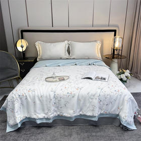 【下架】自然醒50支天丝夏凉被可水洗可机洗天丝夏被空调被子丝棉被芯夏天薄款KY