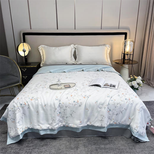 【下架】自然醒50支天丝夏凉被可水洗可机洗天丝夏被空调被子丝棉被芯夏天薄款KY 商品图0