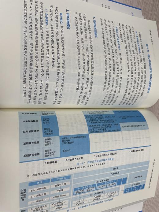 银行数字化转型：方法与实践 商品图2