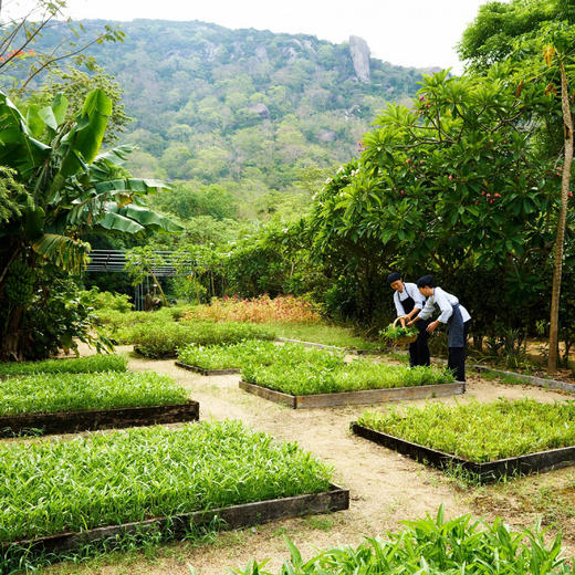 3天2晚【芽庄宁凡湾六善酒店 | Six Senses Ninh Van Bay】可用至年底！含接送机服务、儿童专属俱乐部、免费冰淇淋，享SPA8折优惠，嗨玩店内休闲活动及水上活动~ 商品图7