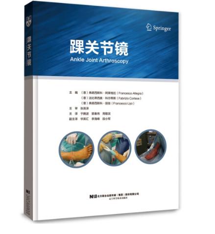 踝关节镜图书 辽宁科学技术出版社  ISBN：9787559127600 商品图0