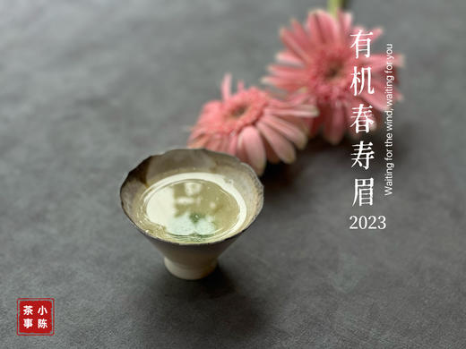 【2023春茶来了】干旱之年的2023有机春寿眉生出了白牡丹的鲜花香，又鲜，又嫩 商品图14