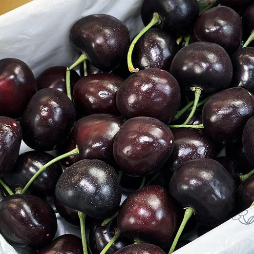 【艺树家】艺树家，俄8黑珍珠樱桃，国内最佳樱桃品种，口感甜浓不单调有回味，有幸福感！ 商品图13