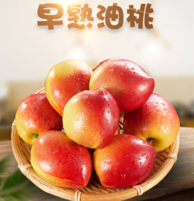 水果生鲜- 5斤新鲜水果当季黄肉早熟甜蜜脆桃子非水蜜桃