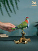 铜师傅 铜摆件《铜师傅百鸟集》之华丽果鸠 桌面摆件饰品 礼品 商品缩略图4