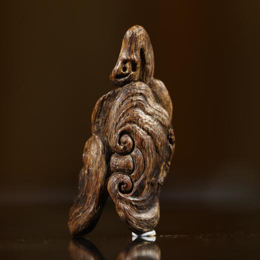 BC.DF5.19-3   达拉干沉水灵芝  3.63g 商品图0