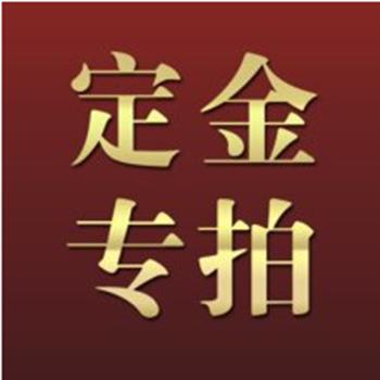 同城流量大会定金专拍 商品图0