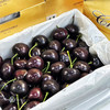 【艺树家】艺树家，俄8黑珍珠樱桃，国内最佳樱桃品种，口感甜浓不单调有回味，有幸福感！ 商品缩略图3
