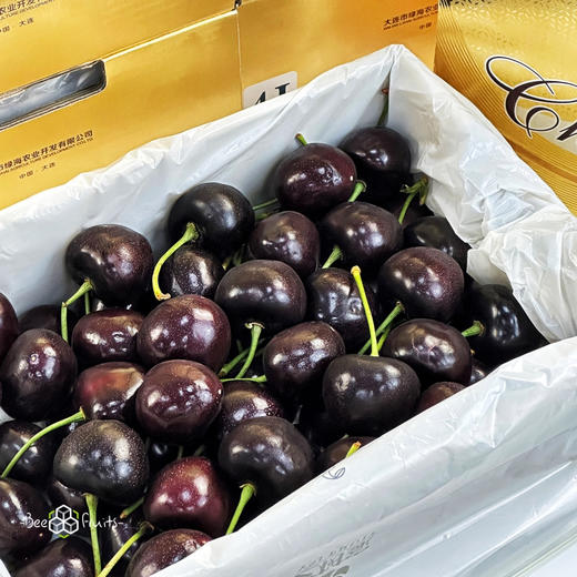 【艺树家】艺树家，俄8黑珍珠樱桃，国内最佳樱桃品种，口感甜浓不单调有回味，有幸福感！ 商品图3