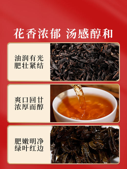 岩语 厚韵大红袍 茶叶特级武夷岩茶乌龙茶花香口粮茶盒装48g 商品图1