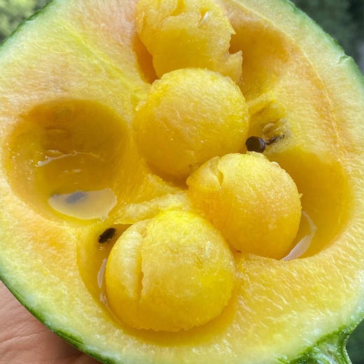 战神冰淇淋西瓜 约1200g/个 商品图2