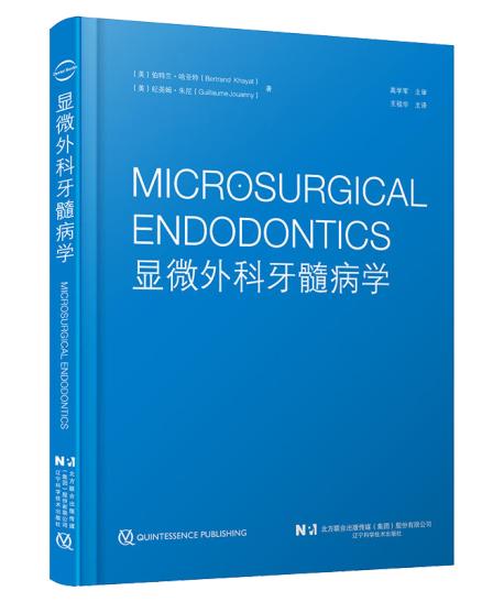 显微外科牙髓病学 商品图0