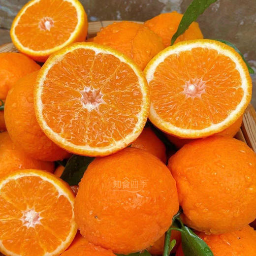 云南虎柑（高原沃柑）甜嫩多汁 果香浓郁化渣 商品图1