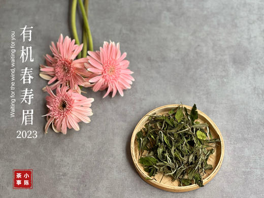 【2023春茶来了】干旱之年的2023有机春寿眉生出了白牡丹的鲜花香，又鲜，又嫩 商品图1
