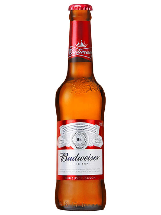 Budweiser百威瓶装啤酒美式拉格经典醇正330ml 商品图3