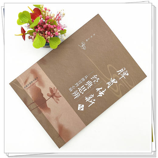 脾胃传新与经典思辨 从脾胃到心脑 金华 主编 中国中医药出版社 书籍 商品图2