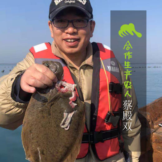 野生黄海偏口鱼（临期6折，还有一个月保质期，冷冻储存） | 合作生产 * Eco-flatfish|Coproduction 商品图1