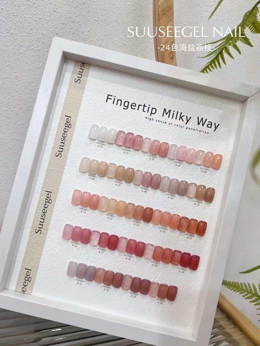 【秒杀价】24色海盐荔枝 商品图1