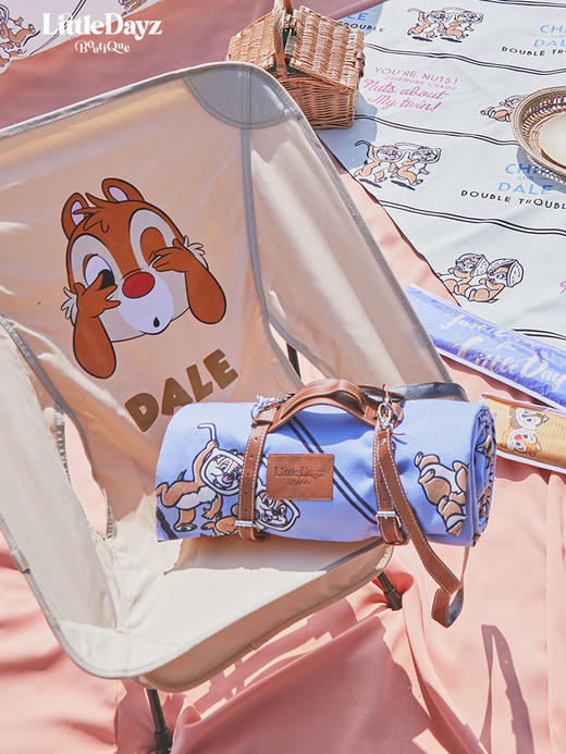 【米舍】LittleDayz 联名款迪士尼奇奇蒂蒂野餐垫春游户外加厚便携防潮地垫 商品图4