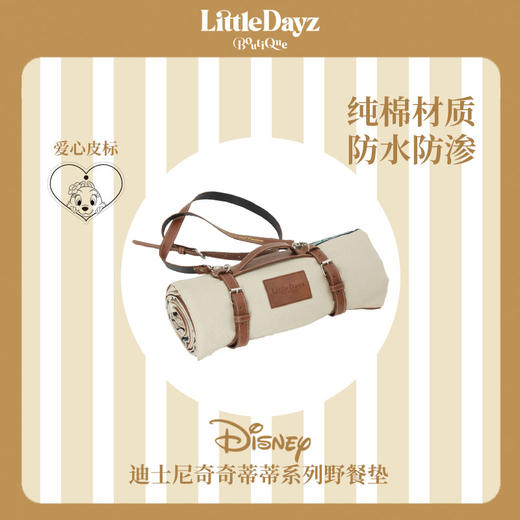 【米舍】LittleDayz 联名款迪士尼奇奇蒂蒂野餐垫春游户外加厚便携防潮地垫 商品图0