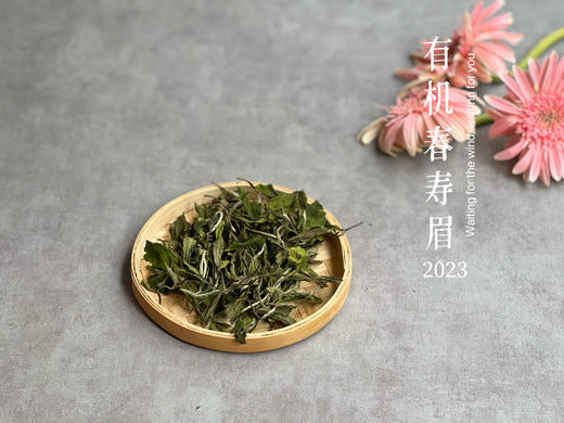 【2023春茶来了】干旱之年的2023有机春寿眉生出了白牡丹的鲜花香，又鲜，又嫩 商品图0