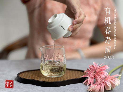 【2023春茶来了】干旱之年的2023有机春寿眉生出了白牡丹的鲜花香，又鲜，又嫩 商品图11